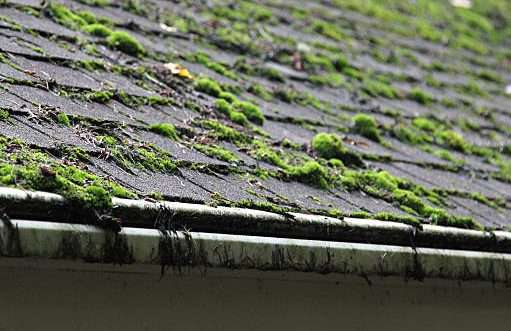 Best Roofing Service in Bristol